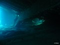 foto de buceo