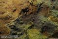 foto de buceo