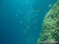 foto de buceo