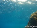foto de buceo
