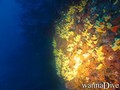 foto de buceo