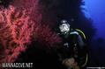 foto de buceo