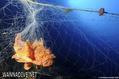foto de buceo