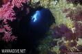 foto de buceo