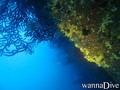 foto de buceo