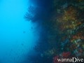 foto de buceo