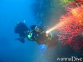 foto de buceo