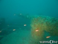 foto de buceo