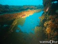 foto de buceo
