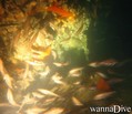 foto de buceo
