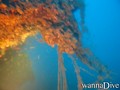 foto de buceo