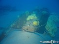 foto de buceo