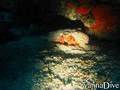 foto de buceo