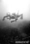 foto de buceo