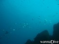 foto de buceo