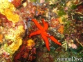 foto de buceo