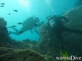 foto de buceo
