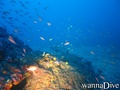 foto de buceo