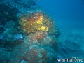 foto de buceo