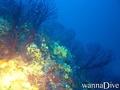 foto de buceo