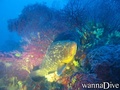 foto de buceo