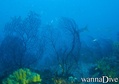 foto de buceo