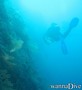 foto de buceo