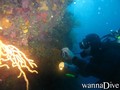 foto de buceo