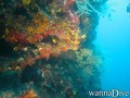 foto de buceo