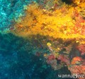 foto de buceo