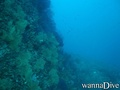 foto de buceo