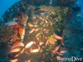 foto de buceo