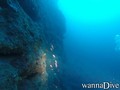 foto de buceo