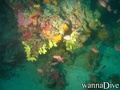 foto de buceo