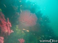 foto de buceo