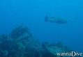 foto de buceo