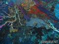 foto de buceo