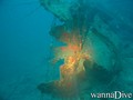 foto de buceo