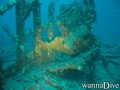 foto de buceo