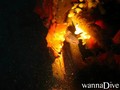 foto de buceo
