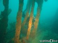 foto de buceo