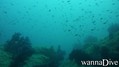 foto de buceo