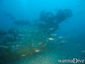 foto de buceo