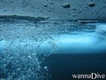 foto de buceo