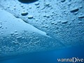 foto de buceo