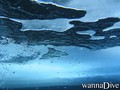 foto de buceo