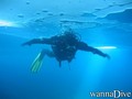 foto de buceo