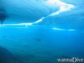 foto de buceo