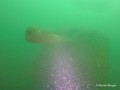 foto de buceo