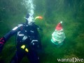 foto de buceo